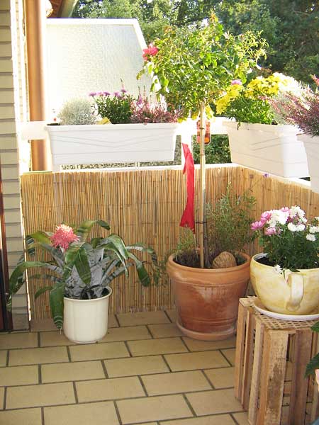 Bambus Matte als Sichtschutz auf einem Balkon.